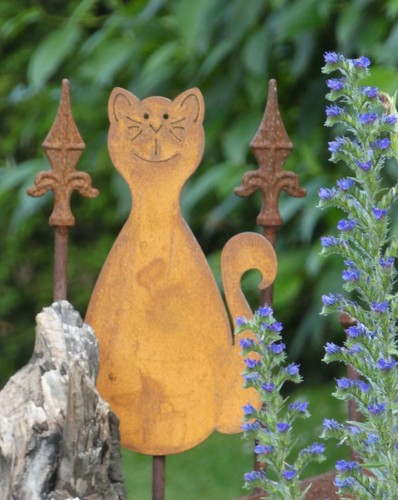 Katze miez zaunhocker - katze,
