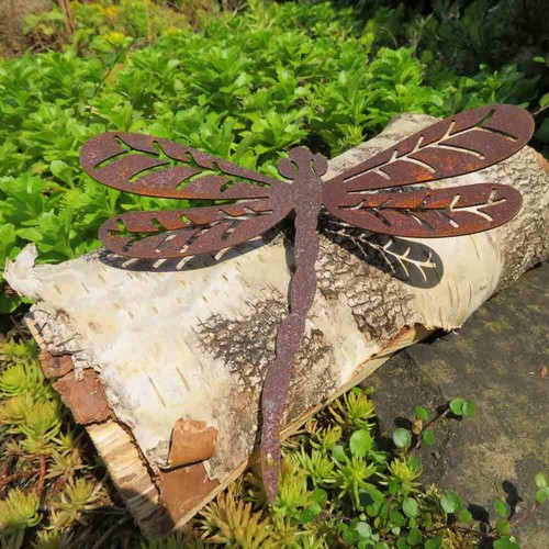 Libelle edelrost rost - edelrost,