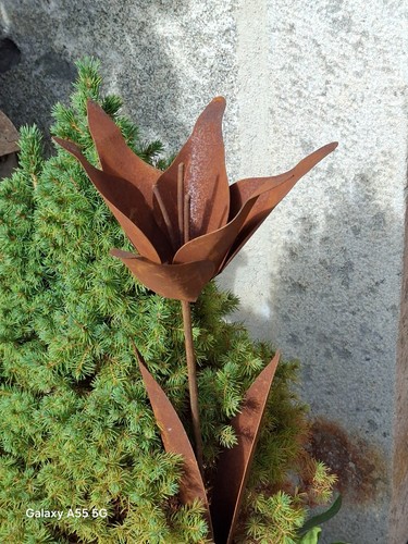 Topfstecker edelrost blume - edelrost,