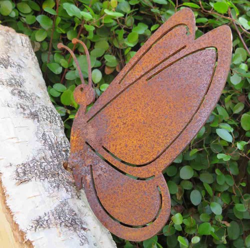 Schmetterling edelrost rost - schmetterling,