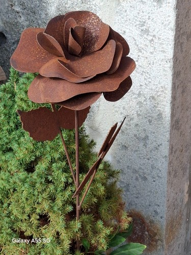 Topfstecker edelrost rose - edelrost,